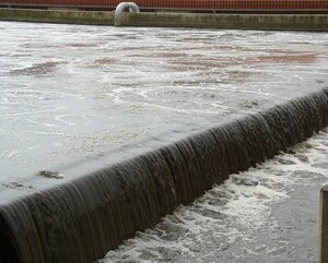 biologische Reinigung
